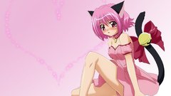 Nekomimi animal ears tokyo