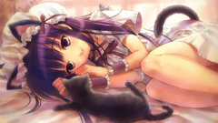 Nekomimi animal ears tsukuyomi