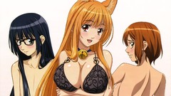 Nekomimi Asobi ni Iku