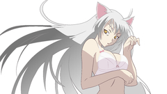 Nekomimi bakemonogatari transparent animal