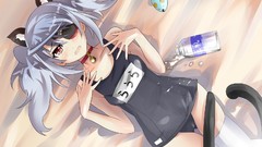 Nekomimi infinite stratos Bodewig