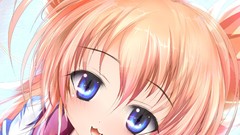 Nekomimi itsuka tenma no