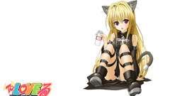 Nekomimi to love ru