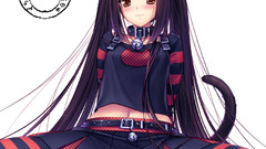 Nekomimi transparent animal ears