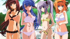 Nerine Primula (Shuffle!) shuffle