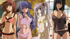 Nerine Primula (Shuffle!) shuffle