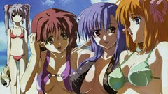 Nerine swimsuits Primula (Shuffle!)