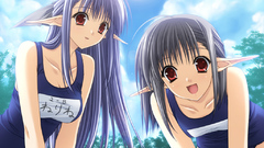 Nerine Tick! Tack! school