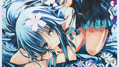 Net image high www Resolution tsdm