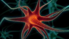 Neuron Birth jpg anyone