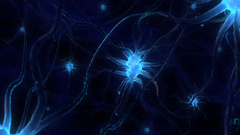 Neuronet discarded abstract