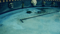 New like walls feel that have few brokenpridews