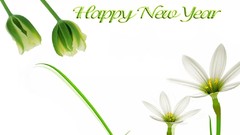 New year Greetings Card