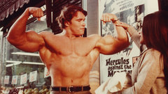 New york city arnold