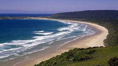 New Zealand Islands south Florence Beaches