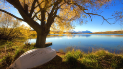 New Zealand Lake autumn