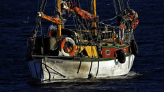 New Zealand Lake teanau