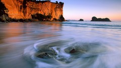 New Zealand north stingray