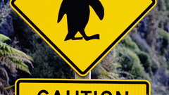 New Zealand sign caution