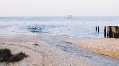 Newfag here looking for