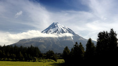 Newzealand Mountains forest Trees
