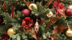 Nice Christmas tree high