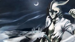 Night bleach moon Espada