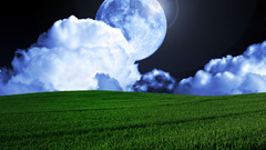 Night bliss yethzart