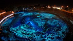 Night blue Photographers diving lakes Weeki Wachee
