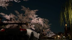 Night cars lamborghini murcielago Supercars Superveloce