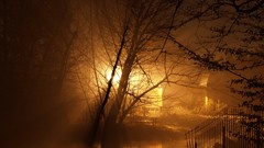 Night dark light Japanese gardens Wrocław