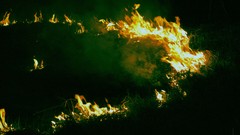 Night fire Friends forest