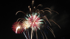 Night fireworks skies