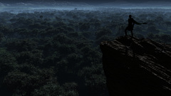 Night forests cliffs