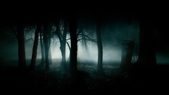 Night forests eerie