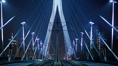 Night lights Bridges holland Rotterdam The Netherlands 