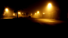 Night lights street torch lanterns