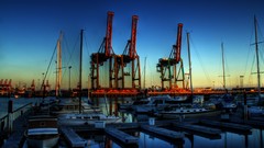 Night Monsters Cranes The port Los Angeles