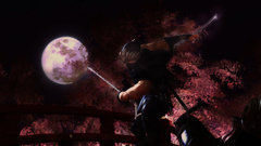 Night moon game assasin ninjat