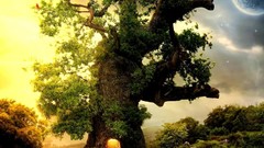 Night moon pathway stairs Herbs shrubs