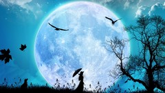 Night night sky Bule