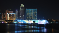 Night Singapore high Resolution