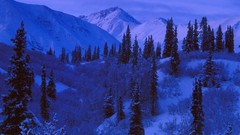 Night time antarctic Arctic ) With requesting