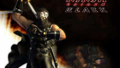 Ninja gaiden
