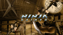 Ninja gaiden Games game