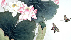 Ninja has let comp shitty wont inkblot