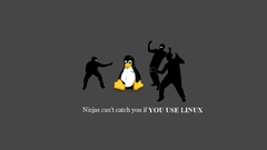 Ninjas cant catch you