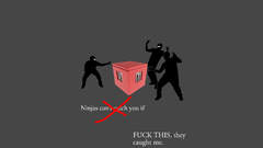 Ninjas cant catch you