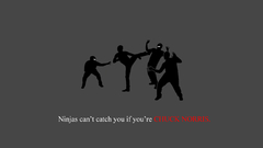Ninjas cant catch you