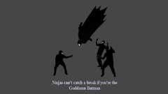 Ninjas cant catch you